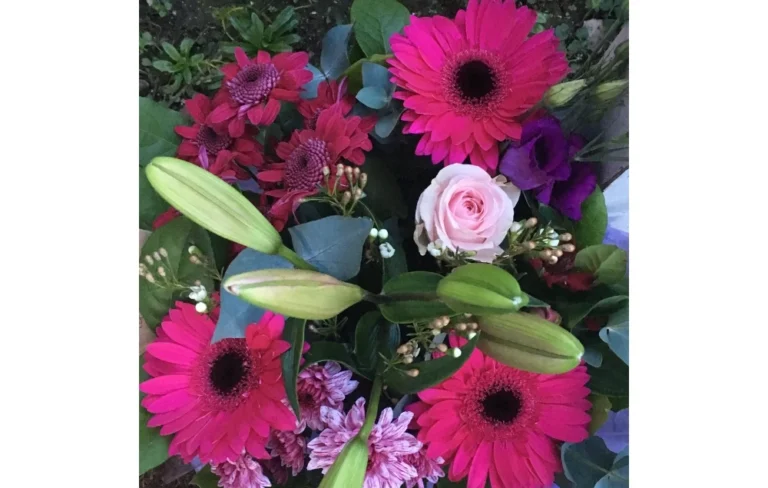 Cerise_Dream_Posy flower bouquet delivery berkshire