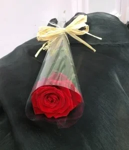 beautiful single rose valentines day gift for her delivered
