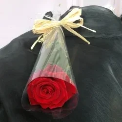 beautiful single rose valentines day gift for her delivered