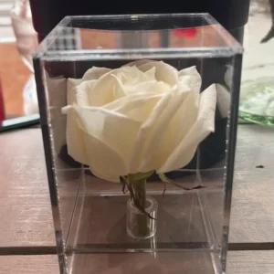 perfect single rose in a box valentines day gift for her